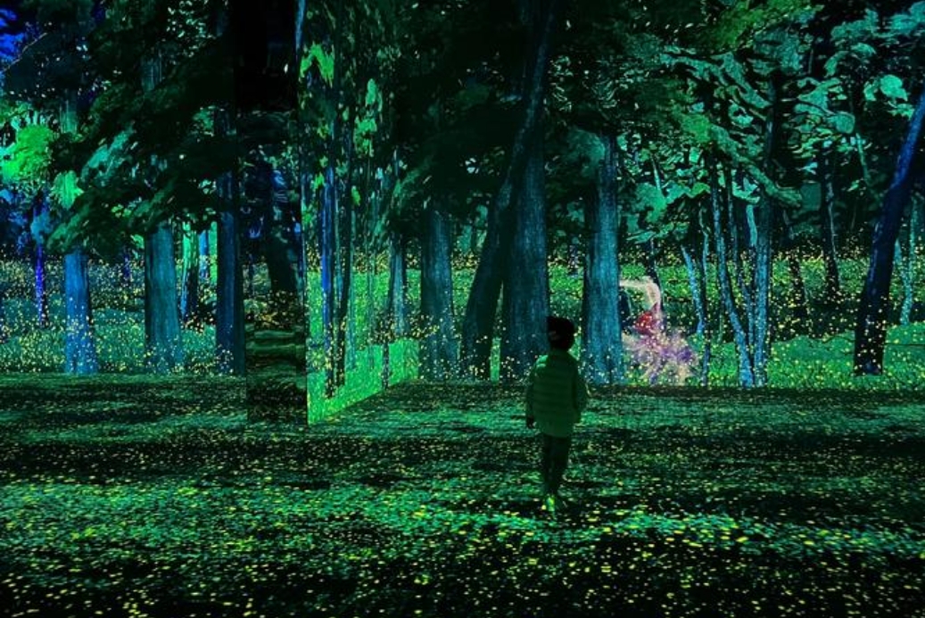 微信截图_20241009093242.png 微信截图_20241009093242.png